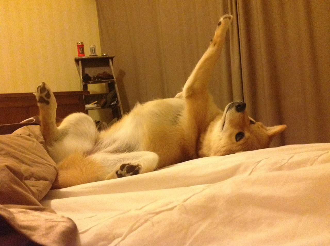 亲临现场:车迷的热情与激情展现