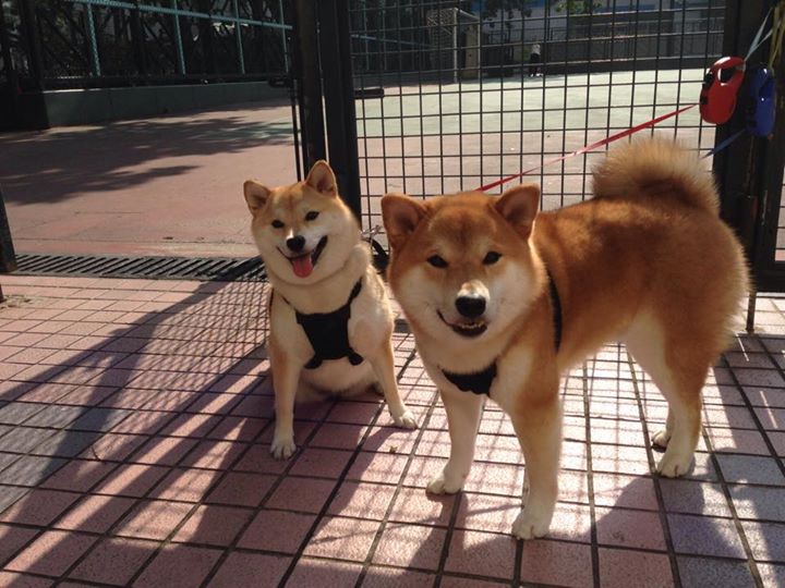 Kaiyun(中国)开云-亮点球员：李明抢下本场最高的28分，彰显全能本色！，李明什么水平