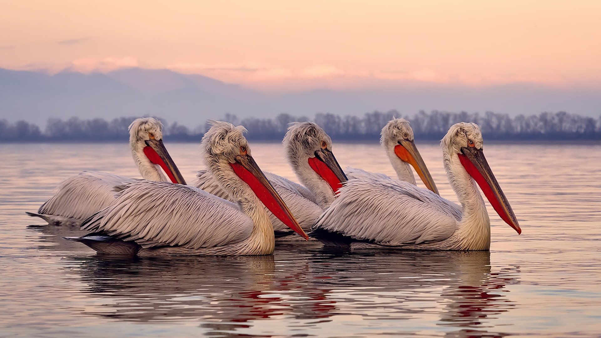 今年助攻王是谁?他的传球艺术令人叹为观止,助攻王简称
