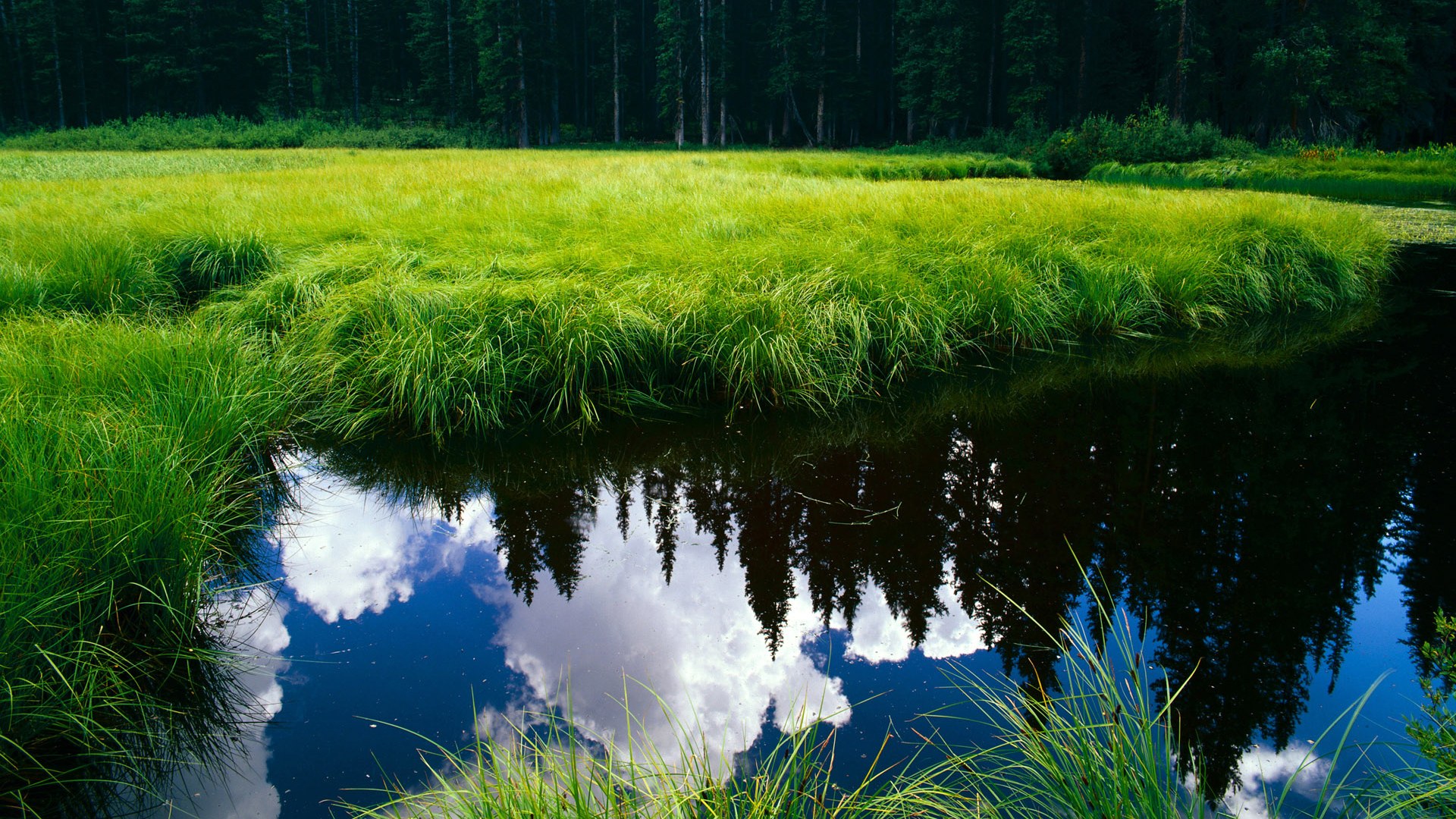 Kaiyun(中国)开云-法甲精彩时刻不断，战术变化让比赛更精彩，法甲 经典比赛