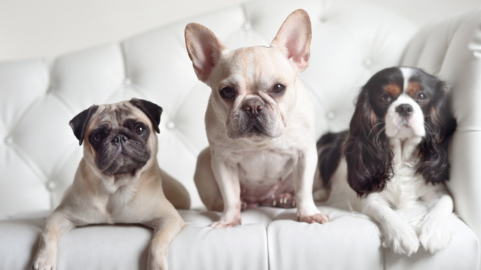 开云入口-球员经纪人注册制度实施首年收效显著，球员经纪人资格考试