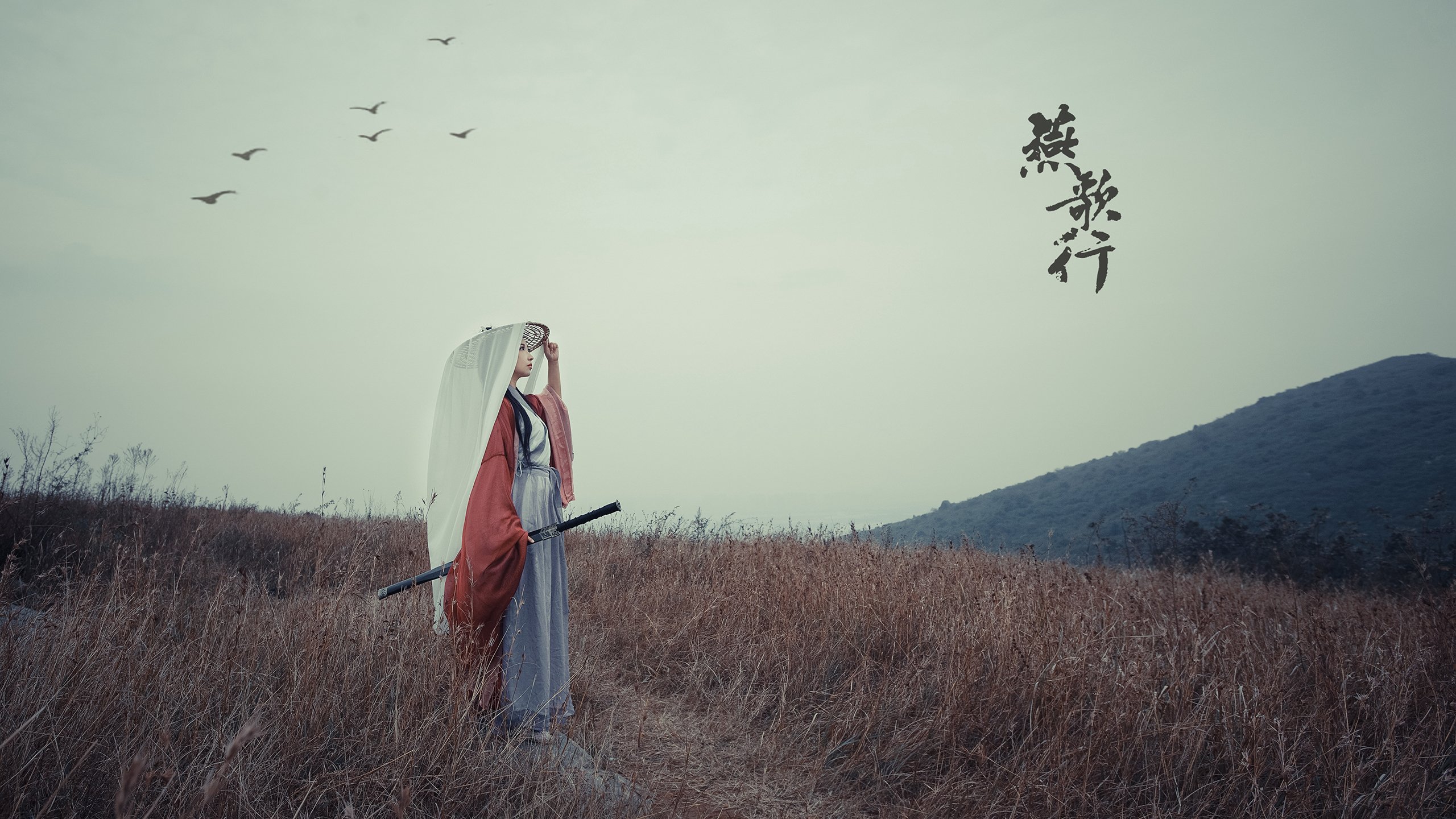 开云·体育官网-赛道风云：WRC不同地形挑战全解析，wrc经典赛道