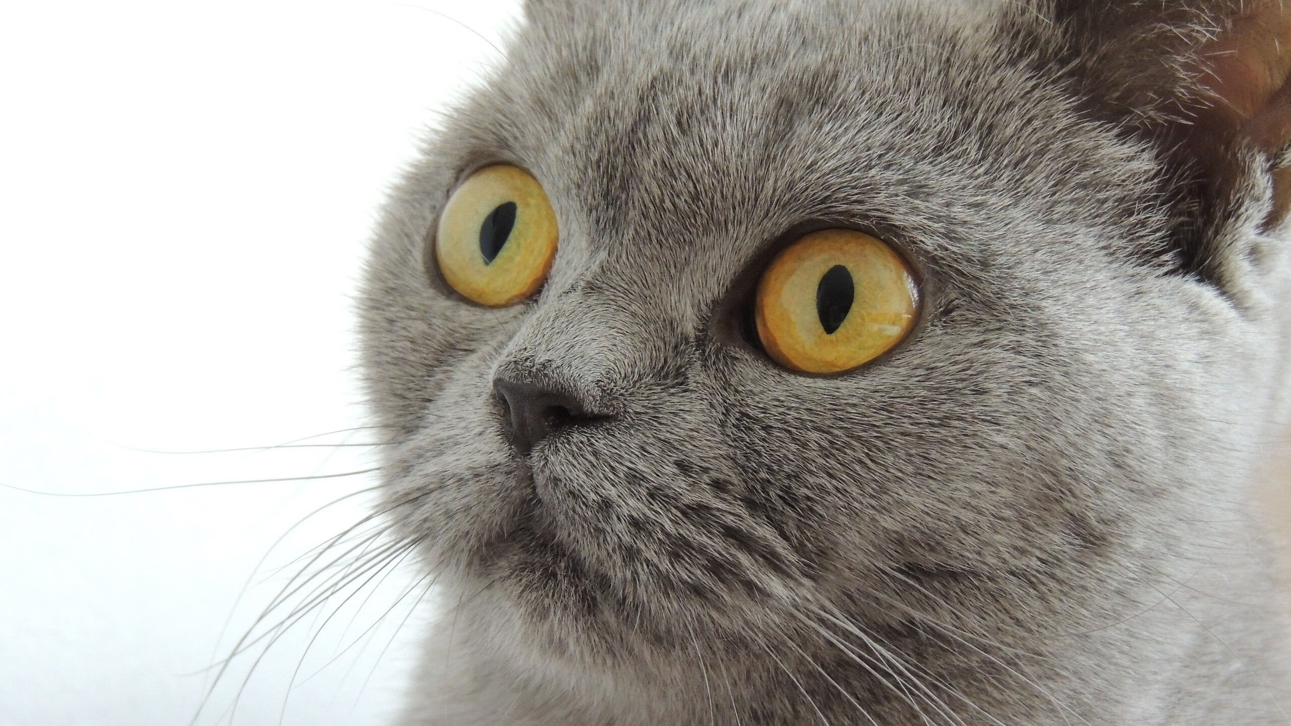 中国足球的青少年足球培训体系建设方案实施，青少年足球培训基地