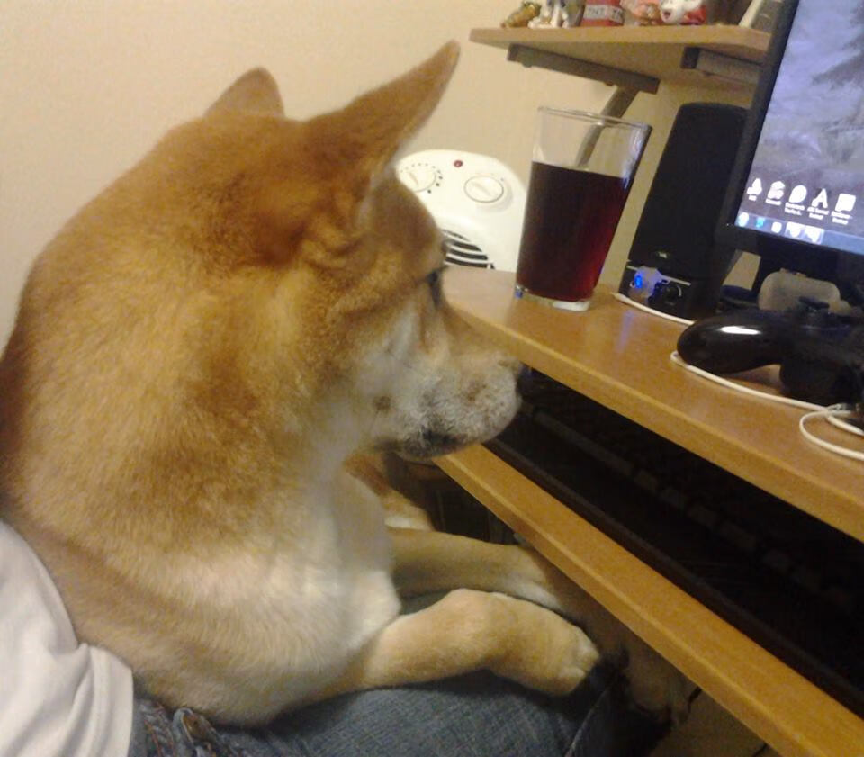 中国象棋协会发布2024年象棋发展规划,中国象棋未来