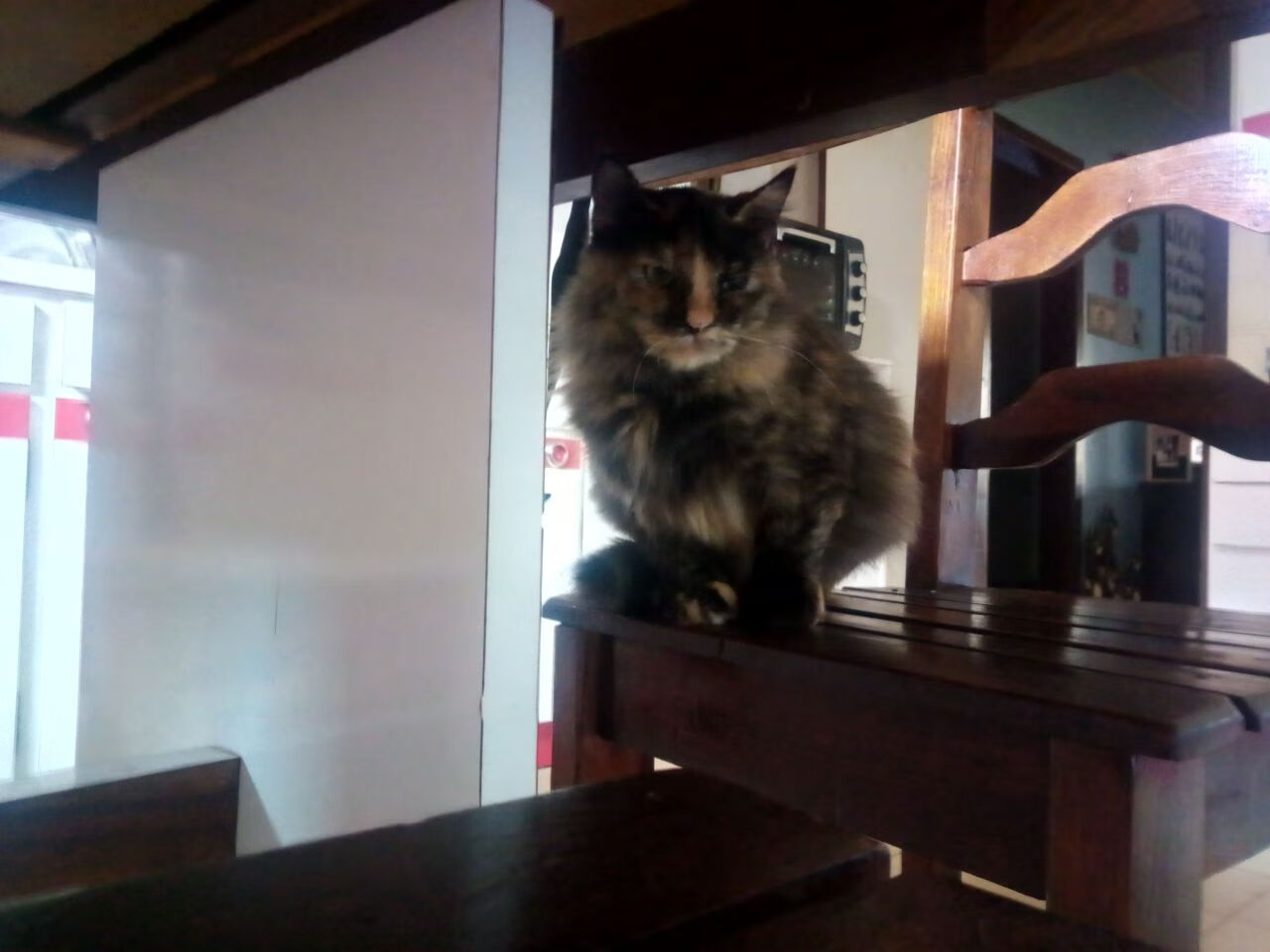 伊普斯维奇城主场氛围热烈,球迷支持不减,伊普斯维奇市